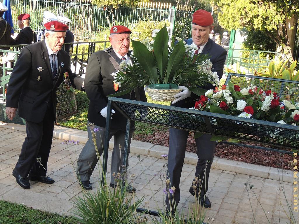2024 12 05 TOULON HOMMAGE AUX MORTS POUR LA FRANCE EN AFN  (56).jpg